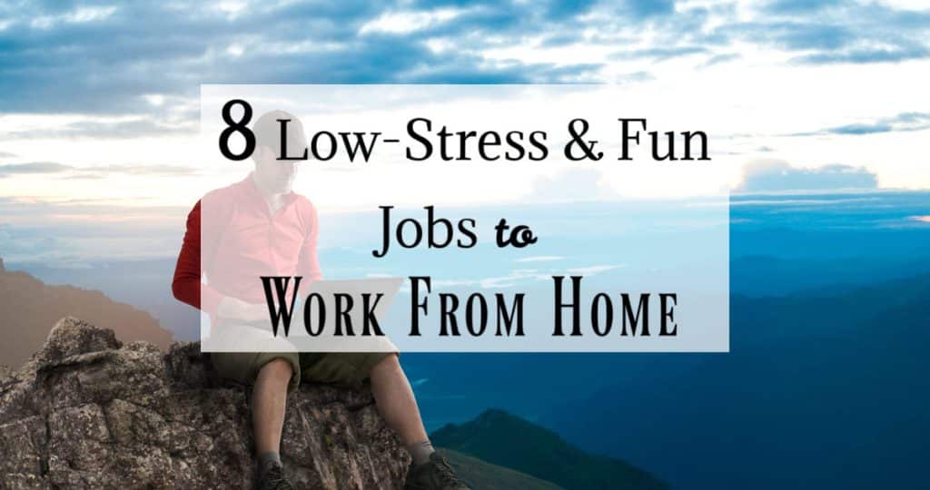 Low-Stress and Fun Jobs to Work From Home That Pay Well