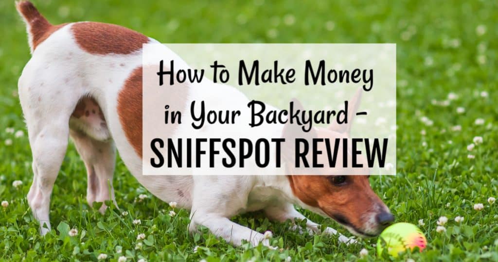 Make Money in Your Backyard by Being a Sniffspot Host