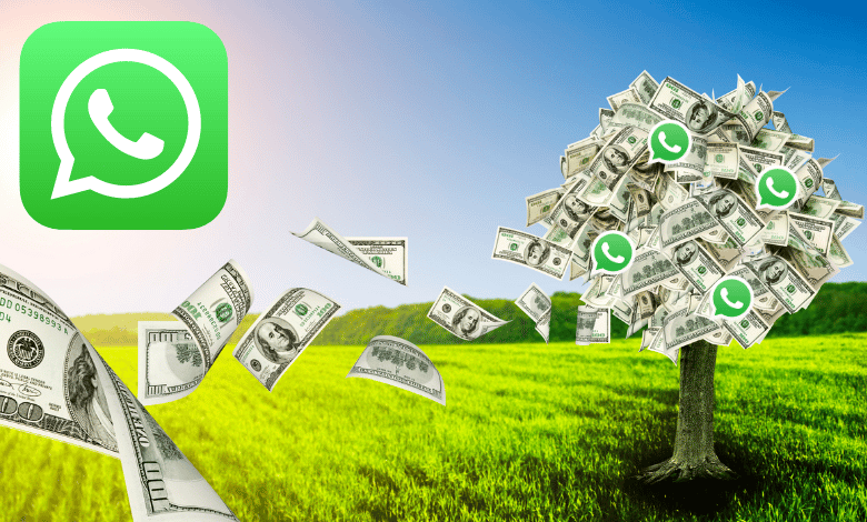 Whatsapp Make Money | Everything You Have To Know